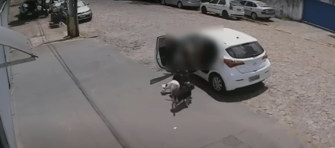 Read more about the article “Get Out of My Car,” the Crippled Dog Cried as He Ran After His Owner’s Car