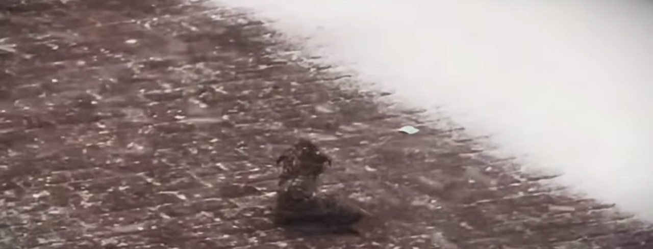 Read more about the article The Frozen Puppy’s Journey From Icy Despair to a Loving Home