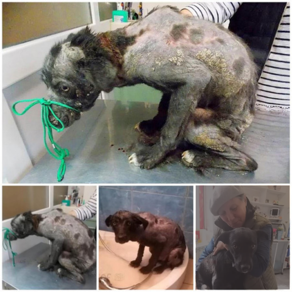 You are currently viewing From Despair to Hope: Isumu’s Courageous Journey Toward a Better Life